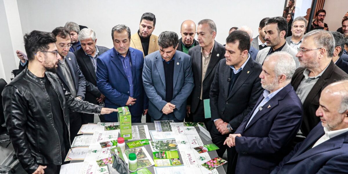 WhatsApp Image 2025-12-17 at 11.32.02